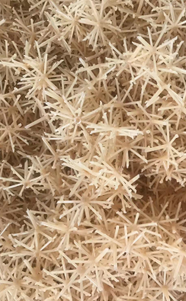 益阳市生活垃圾分类管理条例（草案·征求意见稿）